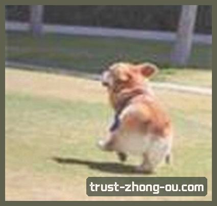 王磊